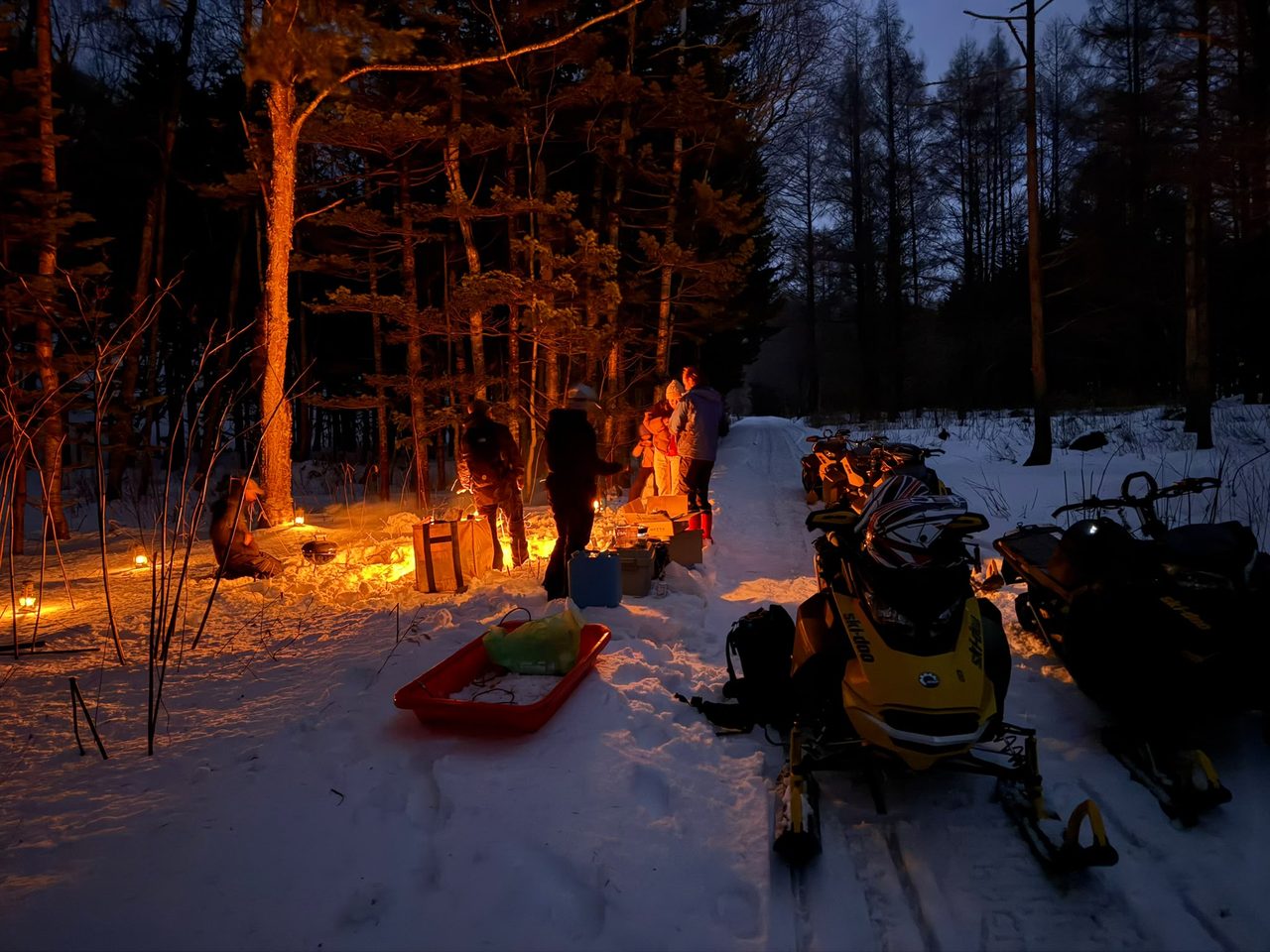 Backcountry barbecue set up among snow-covered trees at dusk on a Niseko snowmobile tour